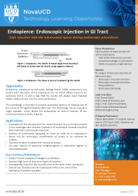 Endopierce a Endoscopic Injection in Gastrointestinal Tract front page preview
                    
